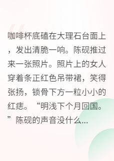 小说《替身小姐:我的副业是股神》陈砚辰光科全文免费阅读