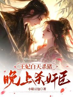 王妃白天杀猪晚上杀奸臣