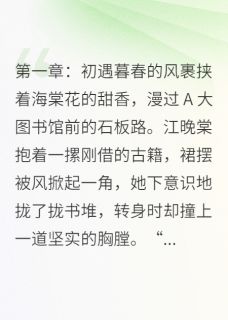 《海棠未眠，情殇难休》沈逸风江晚棠章节列表免费试读