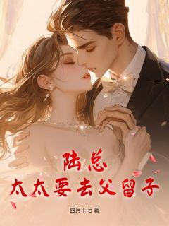 陆总,太太要去父留子