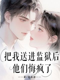 把我送进监狱后,他们悔疯了