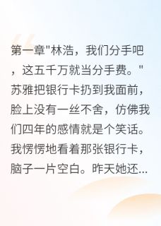 《结婚四年妻子给我五千万离婚费》小说章节目录精彩试读 苏雅许晴晴林浩小说全文
