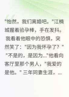 《老公爱男人我带球改嫁了》江楠城小希沈时安章节列表在线阅读