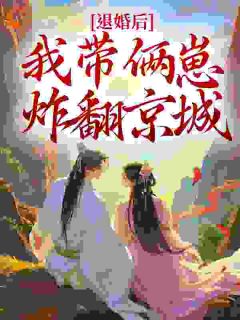 退婚后,我带俩崽炸翻京城最新章节 颜如玉陆夜北大结局免费在线阅读