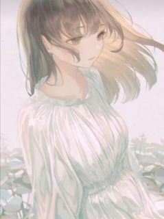 秦慕时阿芙书名叫什么_被偷走的那些年