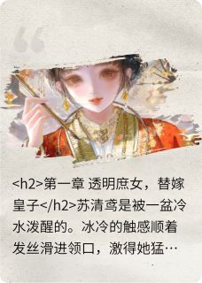 锦绣云州:雍王妃的经商路