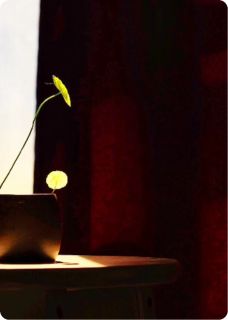 一杯没喝到的咖啡