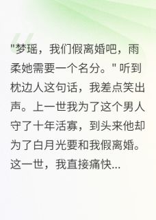 陆景深林浩然梦瑶书名叫什么_八零我痛快答应首长老公假离婚后