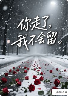 你走了,我不会留
