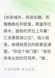 相爷的替身小娇妻