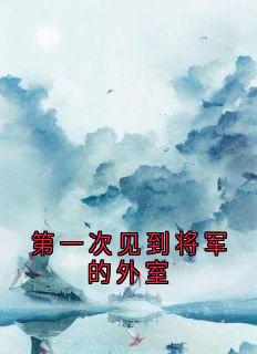 第一次见到将军的外室