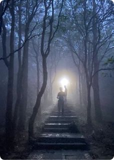 文明的哭泣引路人