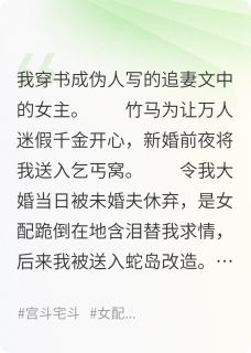 当恶女穿进伪人写的追妻虐女文