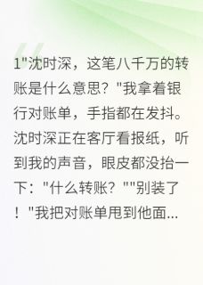 《老公转走八千万给小叔子我离婚了》小说大结局在线阅读 沈时深林晚小说全文