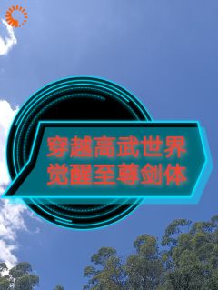 穿越高武世界觉醒至尊剑体