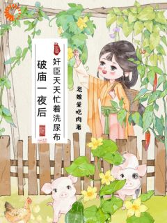 破庙一夜后,奸臣天天忙着洗尿布