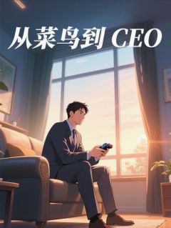 顽童的奇旅：从菜鸟到CEO