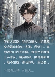 苏晚顾言非林澈小说 《我死后,她抱着骨灰盒疯了》小说全文精彩试读