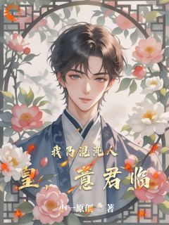 我乃混沌人皇,意君临