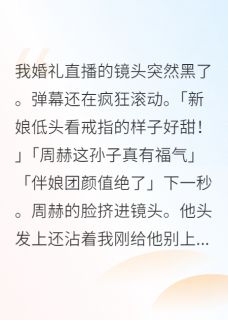 全网直播我的抓奸现场周赫白珊珊林葵小说精彩内容免费试读