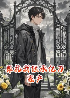 葬礼我继承亿万家产