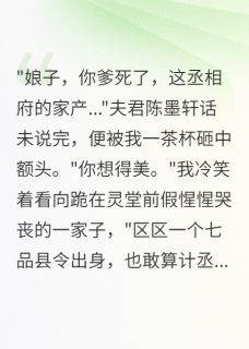 嫁给穷书生三年,他要我全部家产