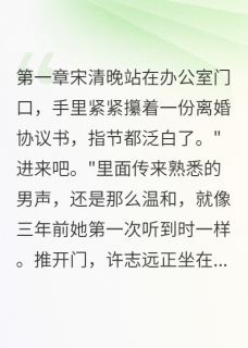 三十岁才明白谁是对的人小说全文免费阅读 宋清晚江城章节目录精彩章节
