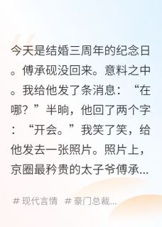 离婚后京圈少爷跪求复婚傅承砚沈放小说全文章节阅读 离婚后京圈少爷跪求复婚免费精彩章节
