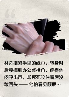 总裁盲区里的暗恋者