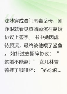 穿书后,我追着黑化赘婿求复婚