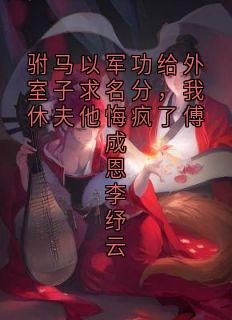 驸马以军功给外室子求名分,我休夫他悔疯了傅成恩李纾云