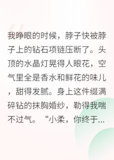 《穿成虐文女主,我靠举报男主办案》小说章节目录精彩阅读 江临林小满小说全文