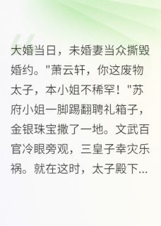 新书《当众退婚?朕即刻登基》小说全集阅读 萧云豪苏婉儿李福小说免费精彩章节全文