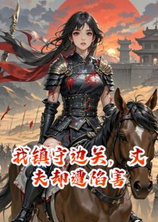 我镇守边关，丈夫却遭陷害