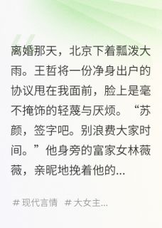 离婚后,前夫哥成了我的舔狗小说全文精彩章节免费试读(陈晋王哲苏颜)