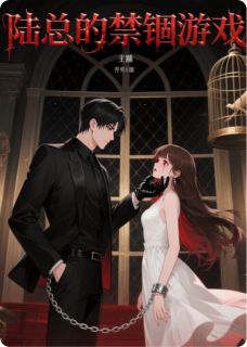 陆总的禁锢游戏