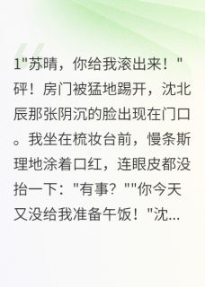 《七零年代我靠裁缝月入千元》小说章节列表精彩试读 沈北辰韩雪小说阅读