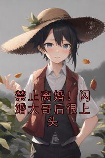 禁止离婚！闪婚大哥后很上头