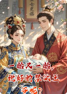 《一胎又一胎,说好的禁欲王爷呢?》小说全文免费试读 苏璃墨尘小说阅读