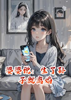 《婆婆说：生了孙子就离婚》小说章节精彩试读 苏晚林浩小说阅读