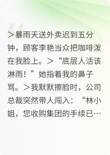 《暴雨总裁：外卖箱里的聘书》小说完结版在线试读 林小雨墨时渊王振邦小说全文