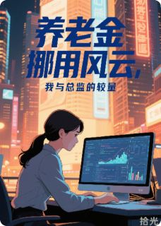 养老金挪用风云,我与总监的较量