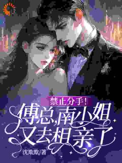 禁止分手！傅总，南小姐又去相亲了！南曦傅靳司by沈欺欺全文免费阅读
