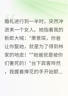 小说《我的新郎,竟是杀父凶手的儿子》萧景琛萧振华全文免费阅读