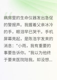 父亲走那天,他和别人订婚了小说免费阅读 小雨明轩陈浩宇小说大结局免费试读
