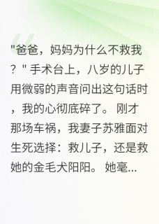 精彩章节《儿子车祸妻子先救狗让我寒了心》小宇苏雅阳阳全文免费阅读