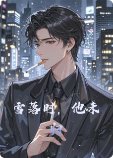 雪落时,他未归