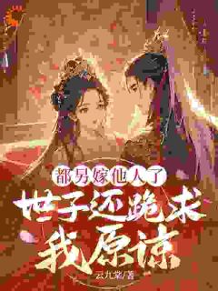 都另嫁他人了，世子还跪求我原谅(苏清洛慕砚川)全文完结免费试读精彩章节