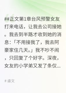 台风过后爱成空沈婉晴林豪小说在线阅读全文章节目录完整版