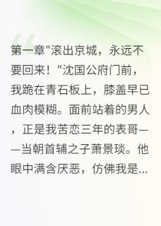 被逐出京城后我仍是众人白月光